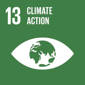 UN Sustainable Development Goal 13: Climate Action